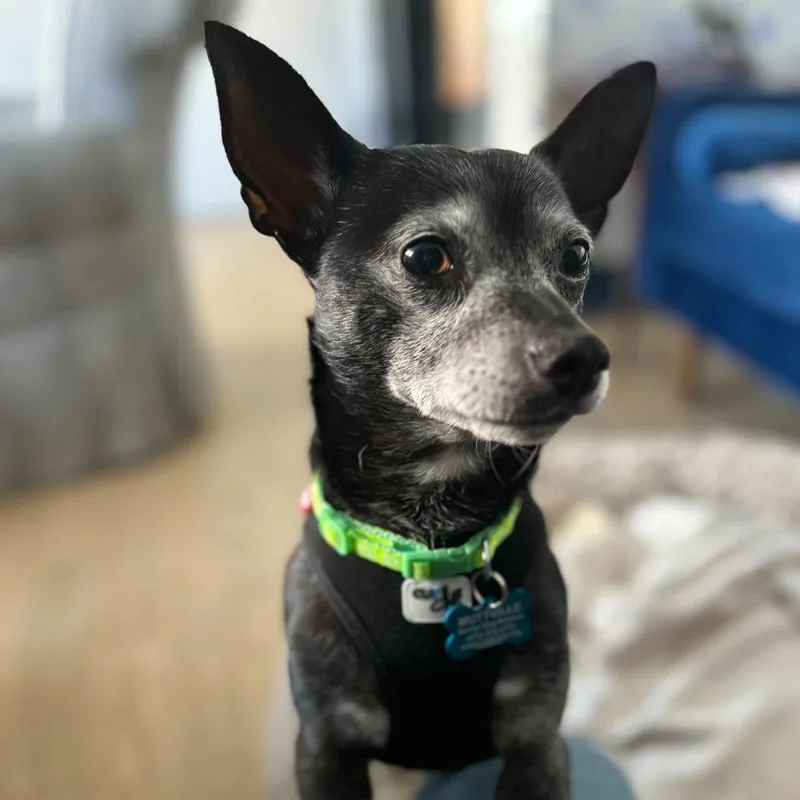 Jeff Probst thumbnail 5