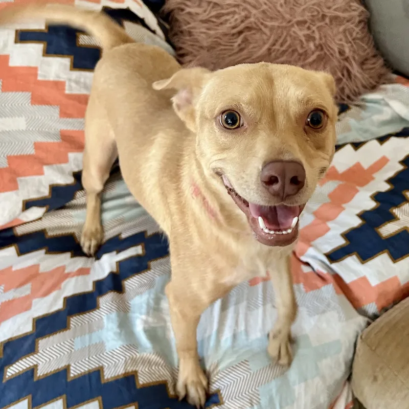 Lizotte Wvt thumbnail 3