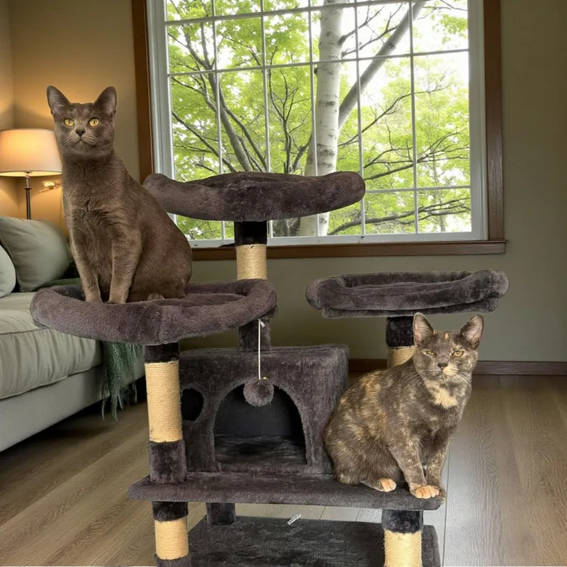 Lucy & Coral thumbnail 2