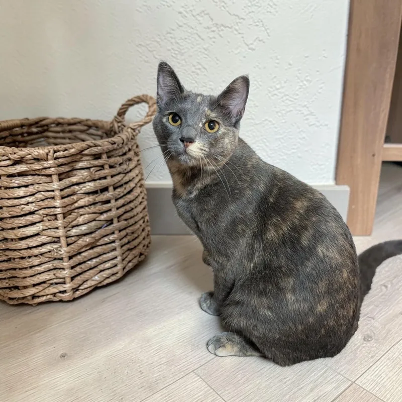 Lucy & Coral thumbnail 5