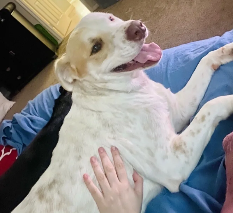 Murdock Bljct thumbnail 4