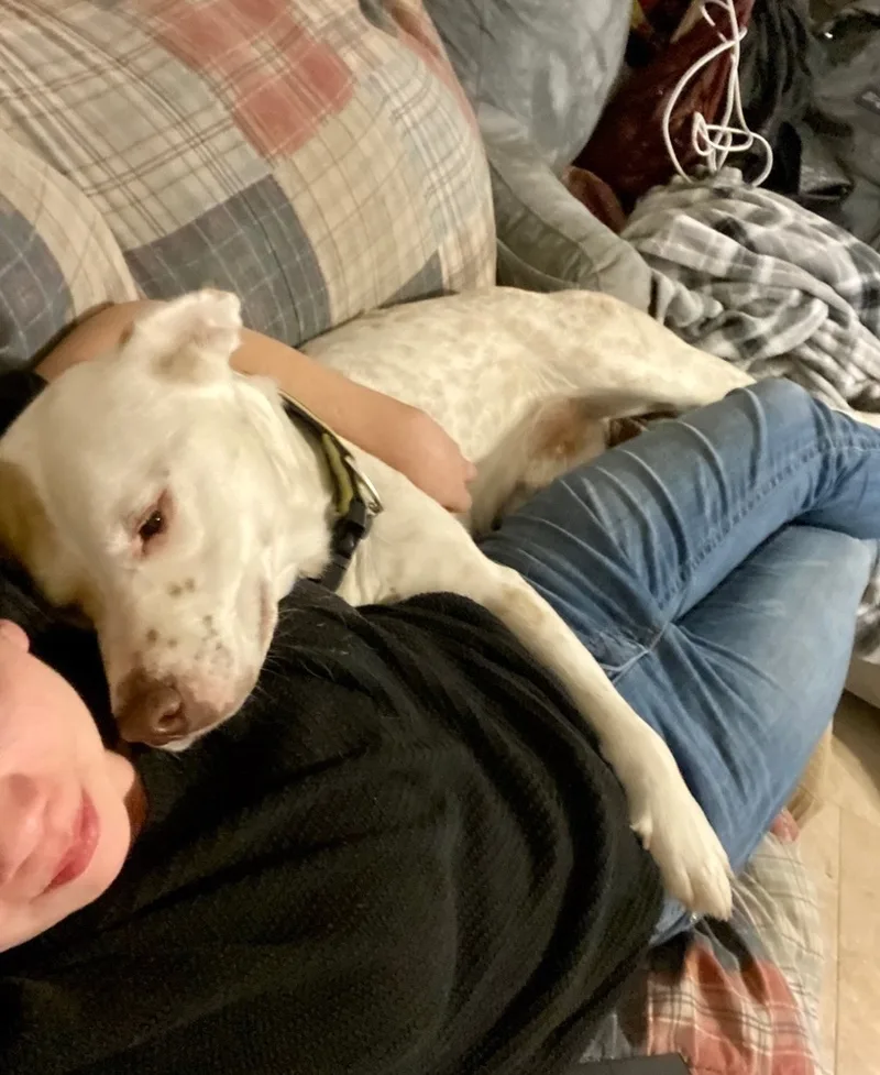 Murdock Bljct thumbnail 6