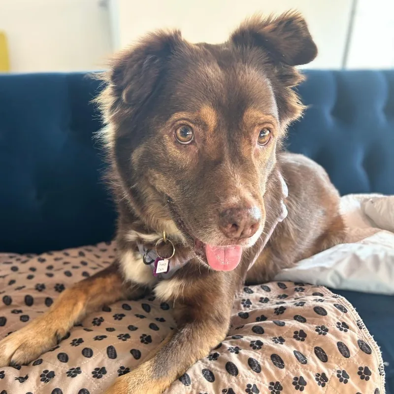 Princess Daisy thumbnail 3