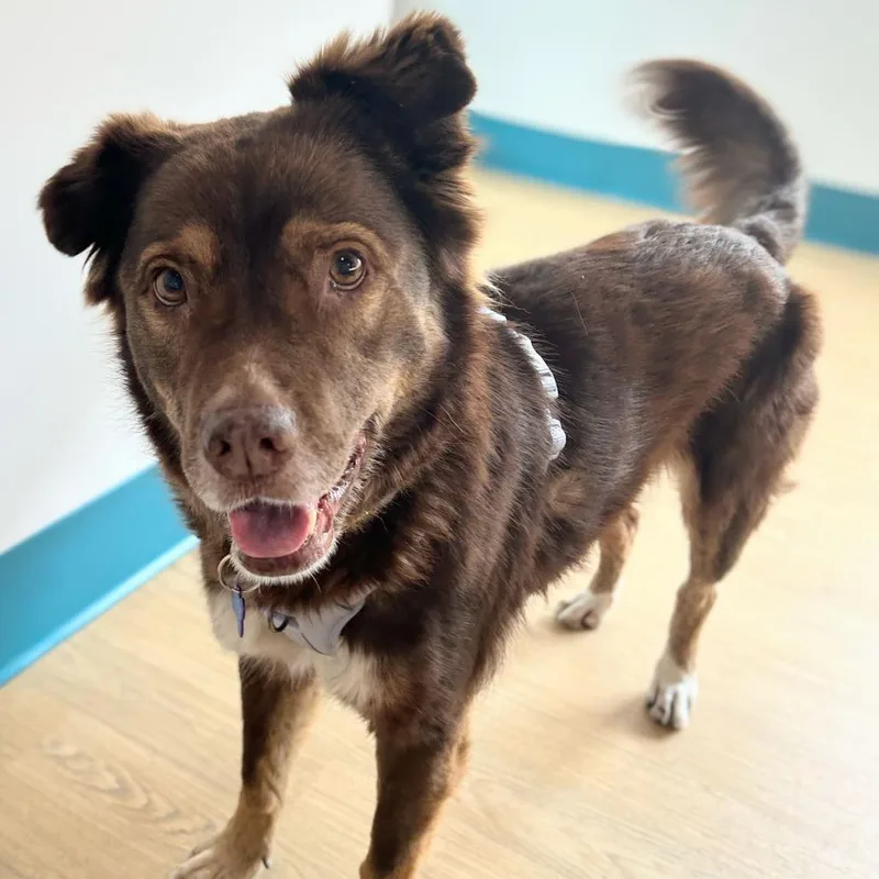 Princess Daisy thumbnail 5