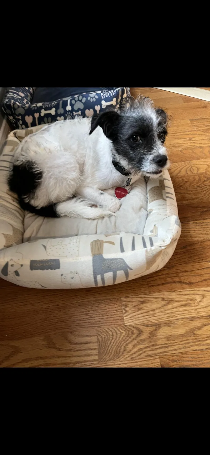 Wapato Blt thumbnail 2