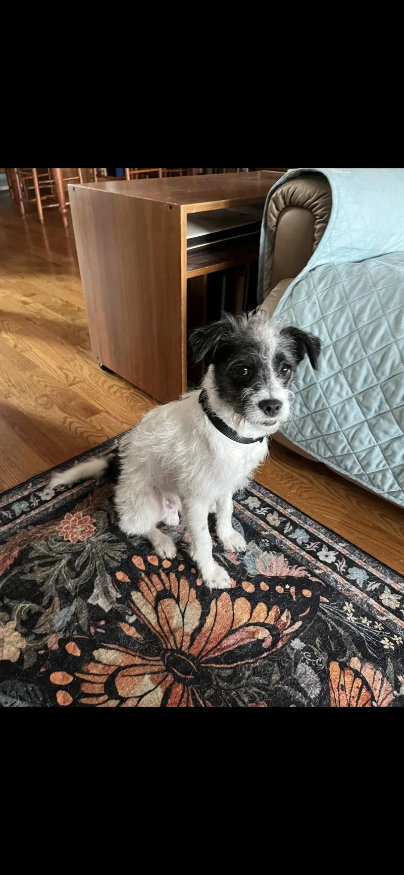 Wapato Wvt thumbnail 3