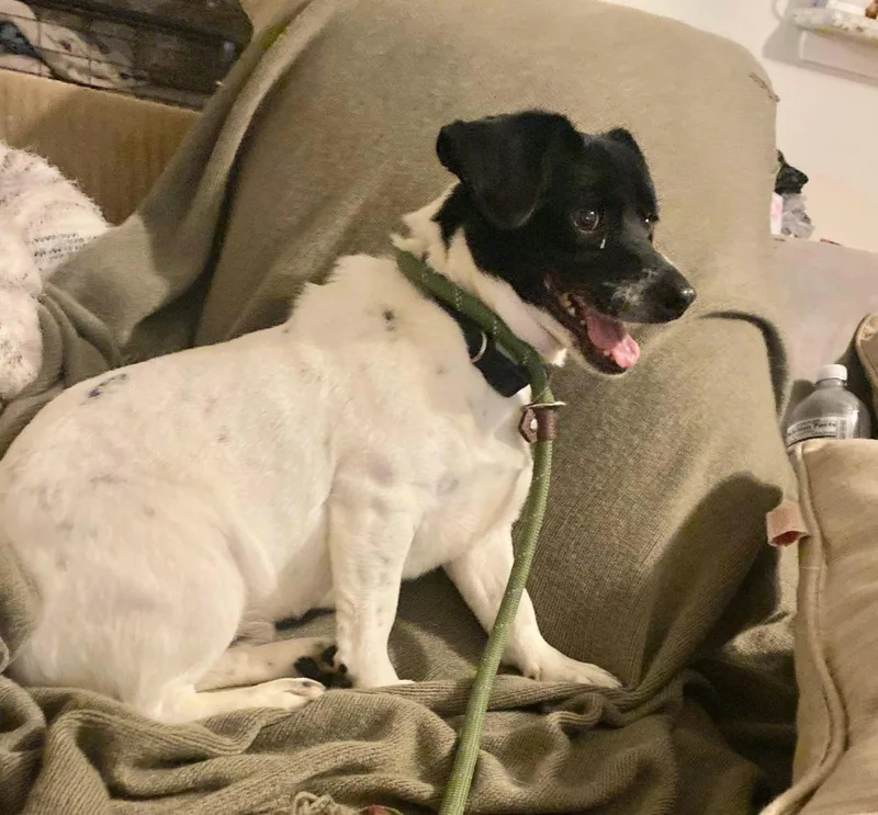 Bullet Mvt thumbnail 3