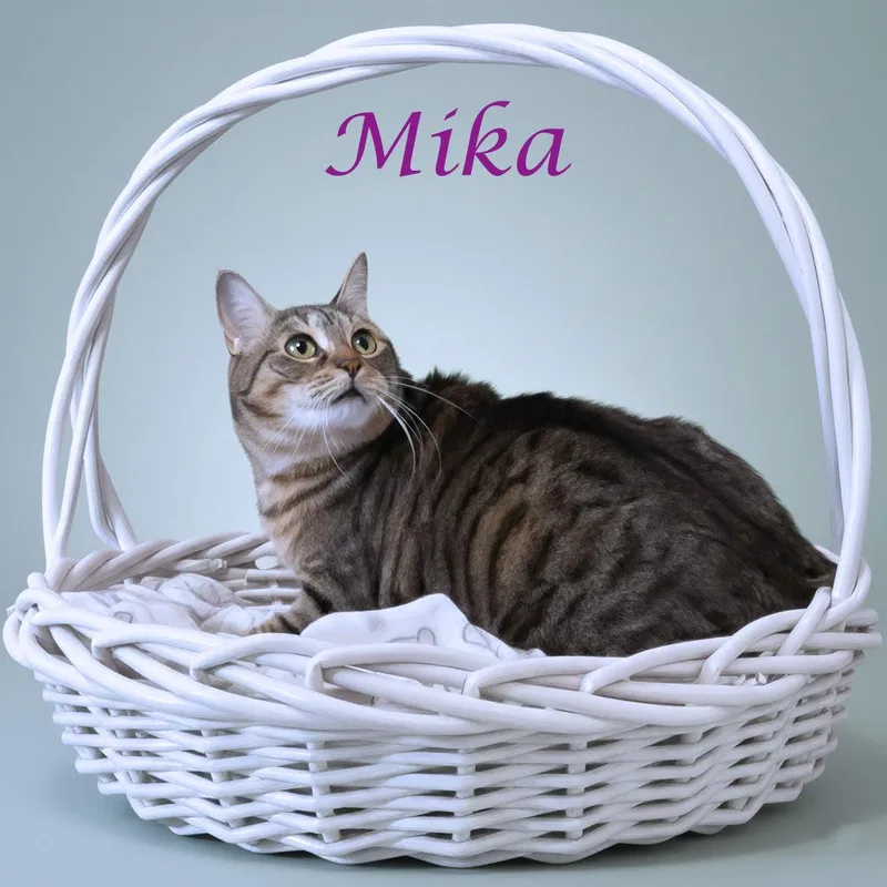 Mika C