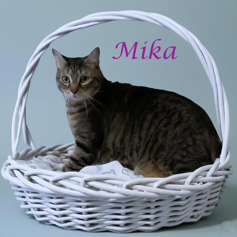 Mika C thumbnail 2
