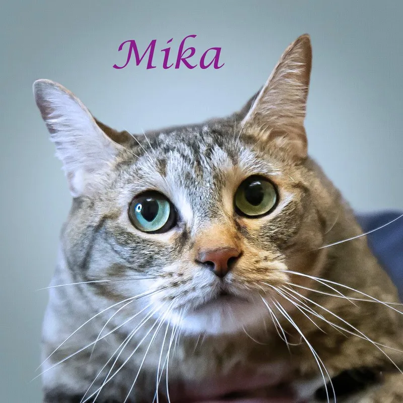 Mika C thumbnail 3