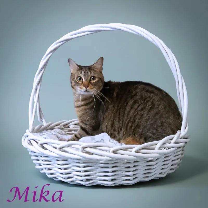 Mika C thumbnail 4