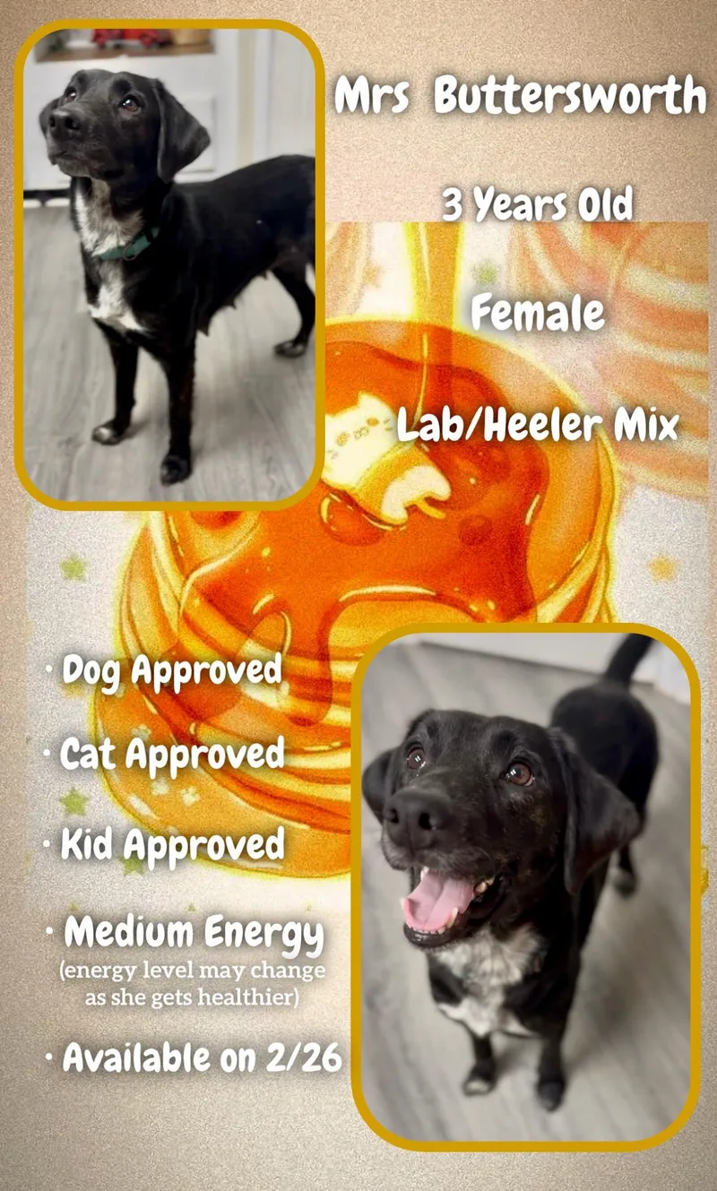 Ms Butterworth thumbnail 2