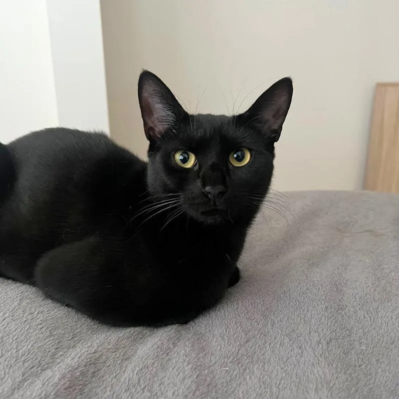 Ophelia And Theo thumbnail 3