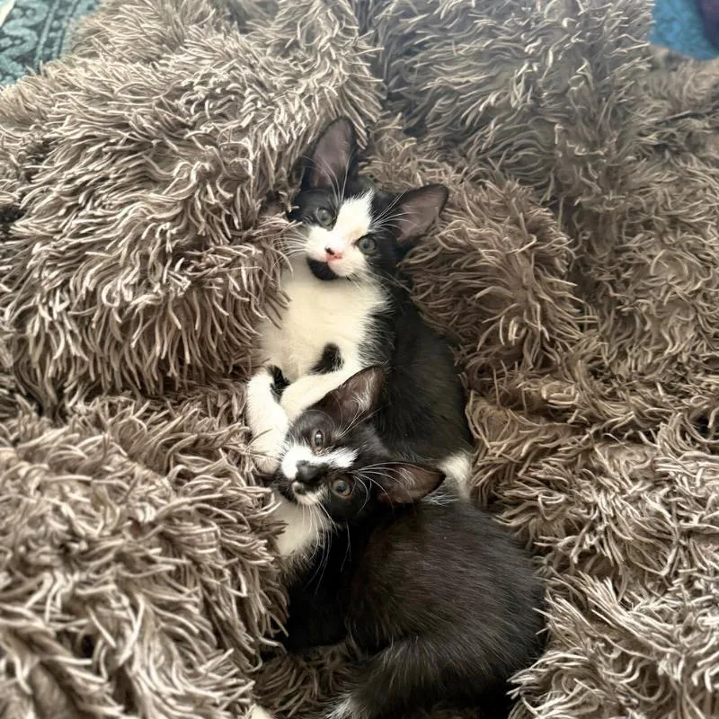 Mars And Neptune thumbnail 2