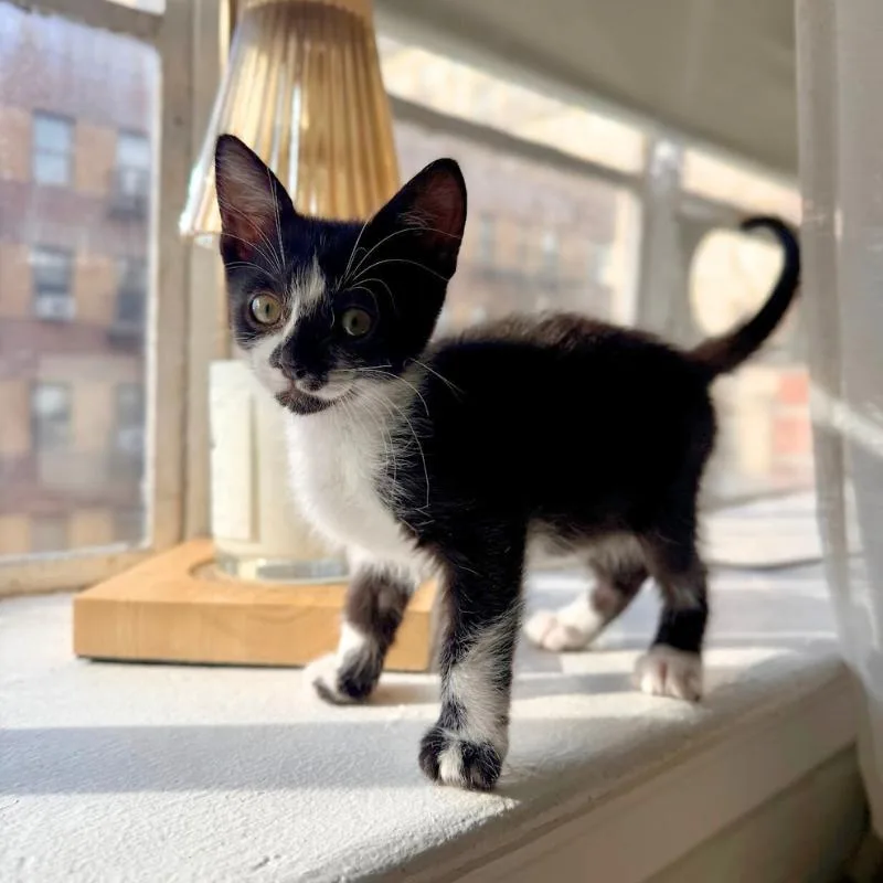 Mars And Neptune thumbnail 3