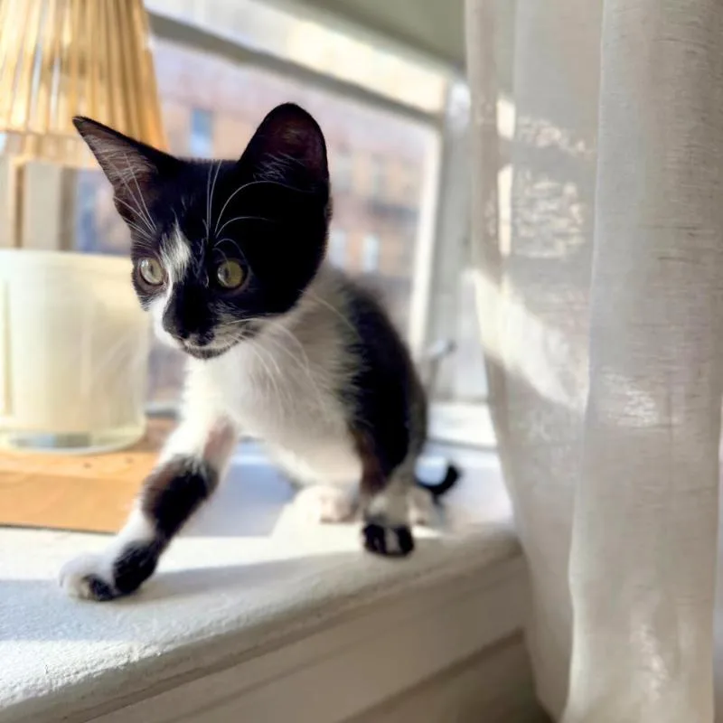 Mars And Neptune thumbnail 4