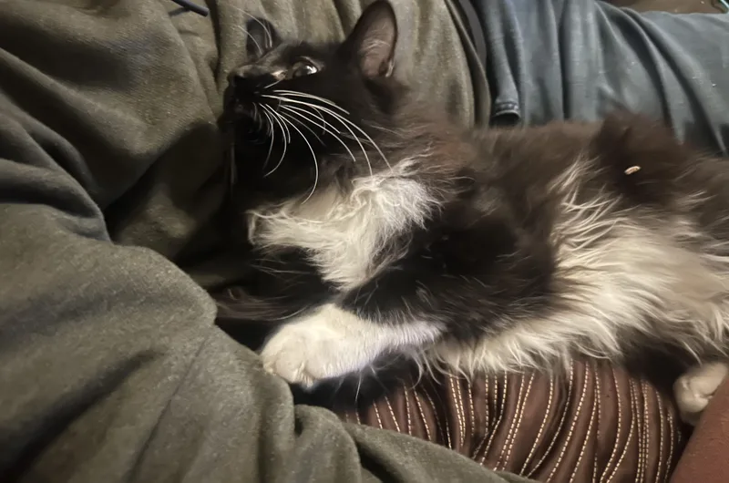 Gringotts  And Golum thumbnail 2