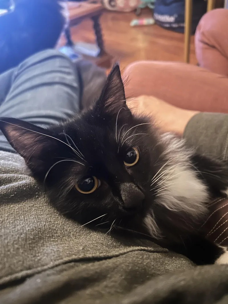 Gringotts  And Golum thumbnail 3