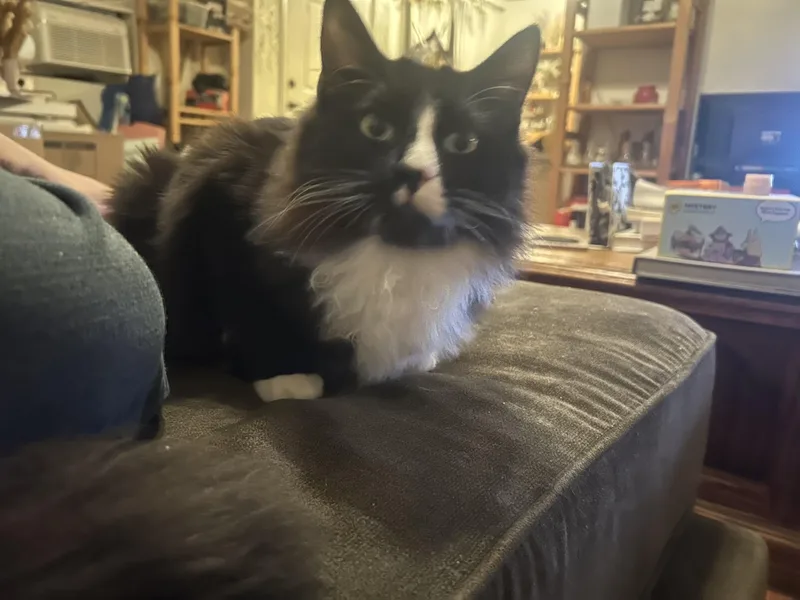 Gringotts  And Golum thumbnail 4