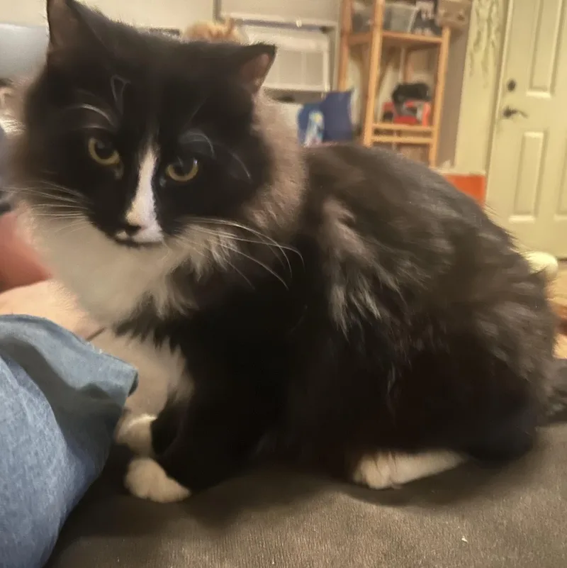 Gringotts  And Golum thumbnail 5