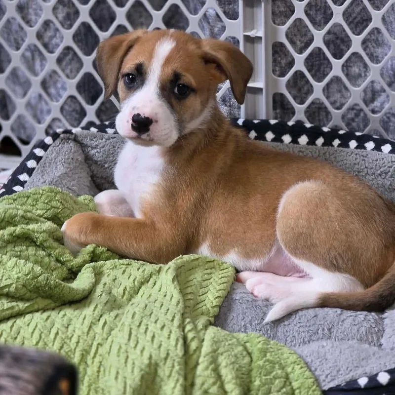 Jim Halpert thumbnail 2