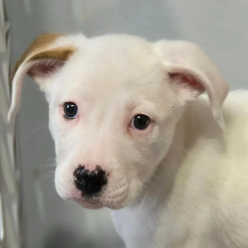 Karen Filippelli thumbnail 2