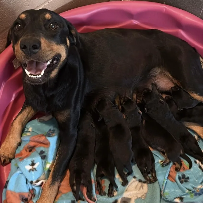 Danielle thumbnail 2