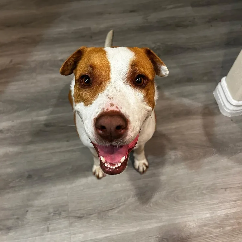 Girlypop thumbnail 3