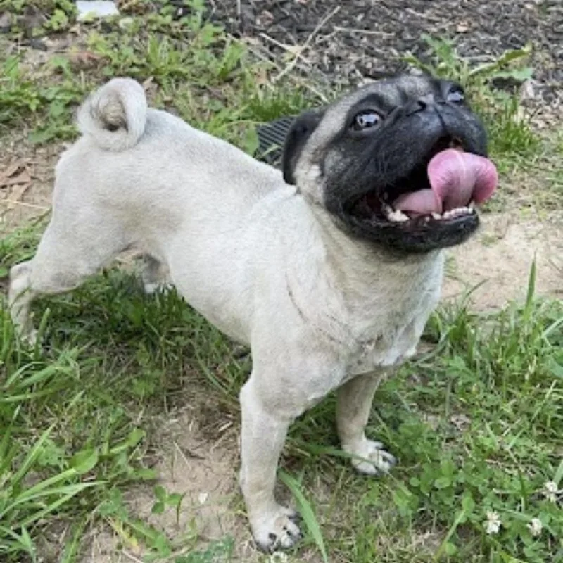 Rocky Balboa thumbnail 2