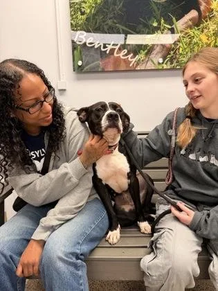 Baby Girl Luna thumbnail 2