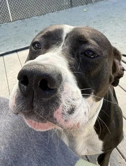 Baby Girl Luna thumbnail 4