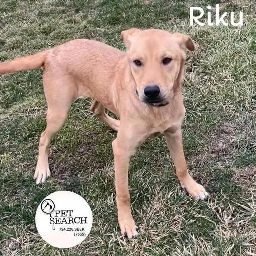 Riku