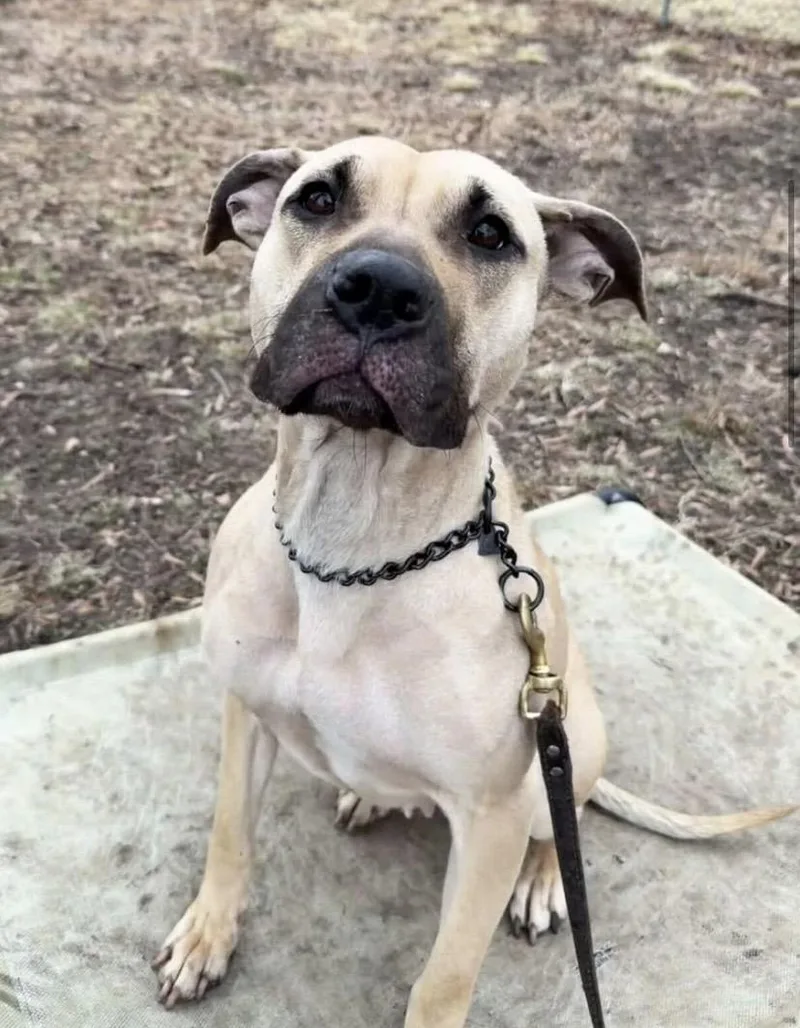 Billie Jean thumbnail 2