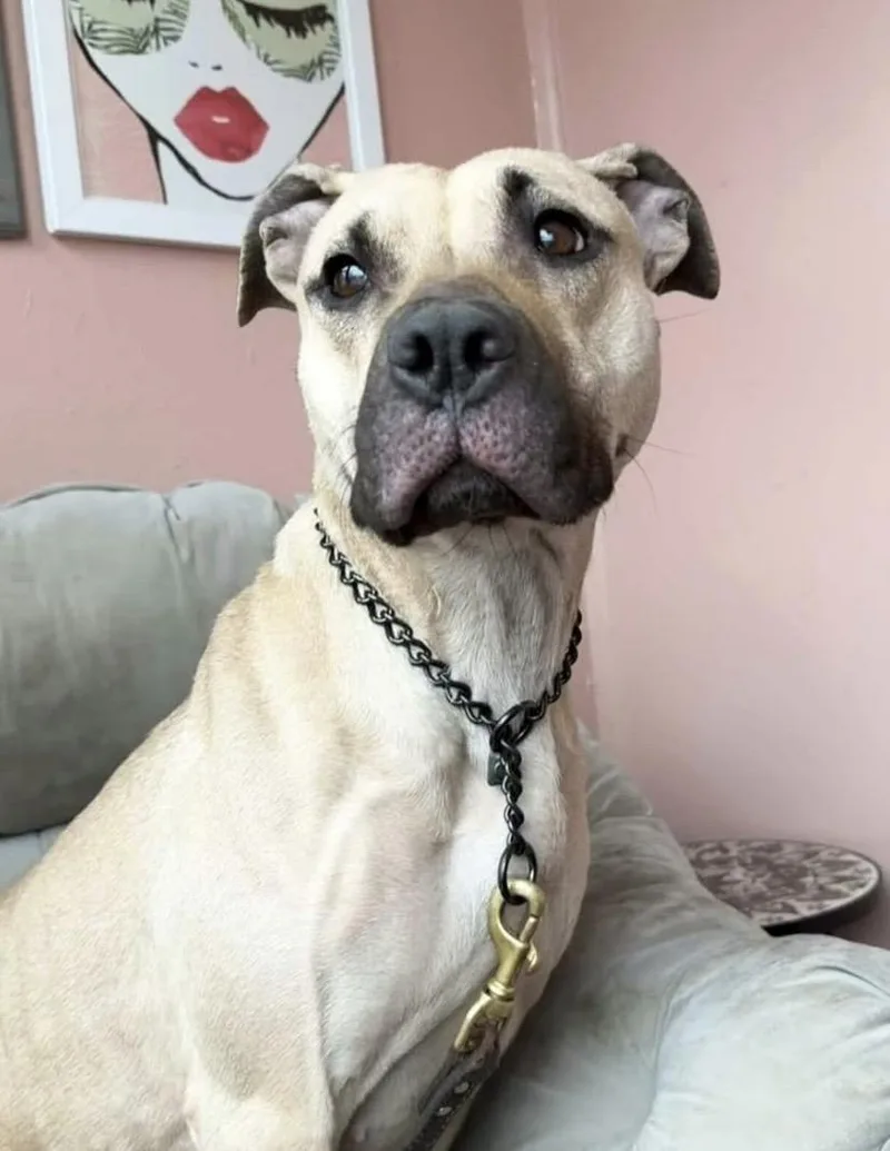 Billie Jean thumbnail 3