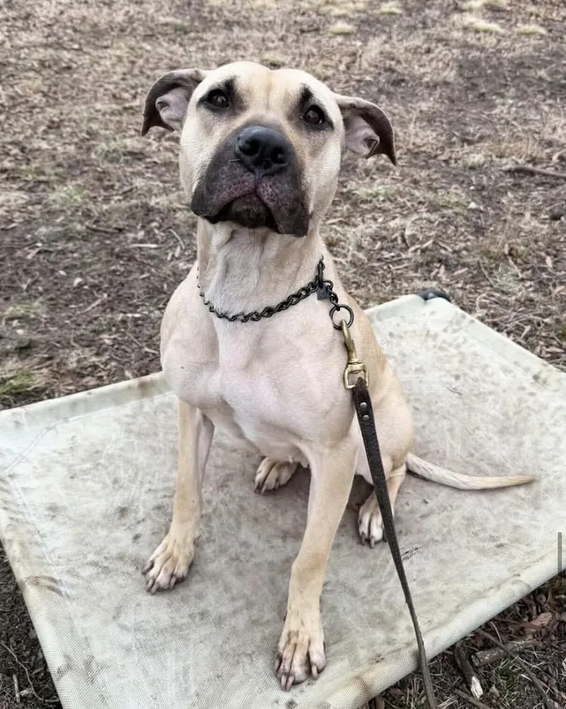 Billie Jean thumbnail 5