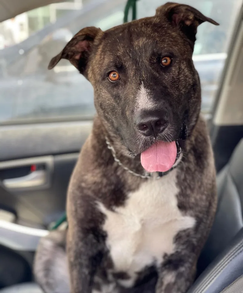 Inigo Montoya thumbnail 2