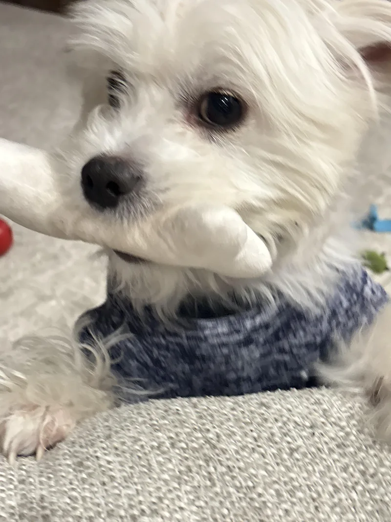 Ilya Rozanov thumbnail 2