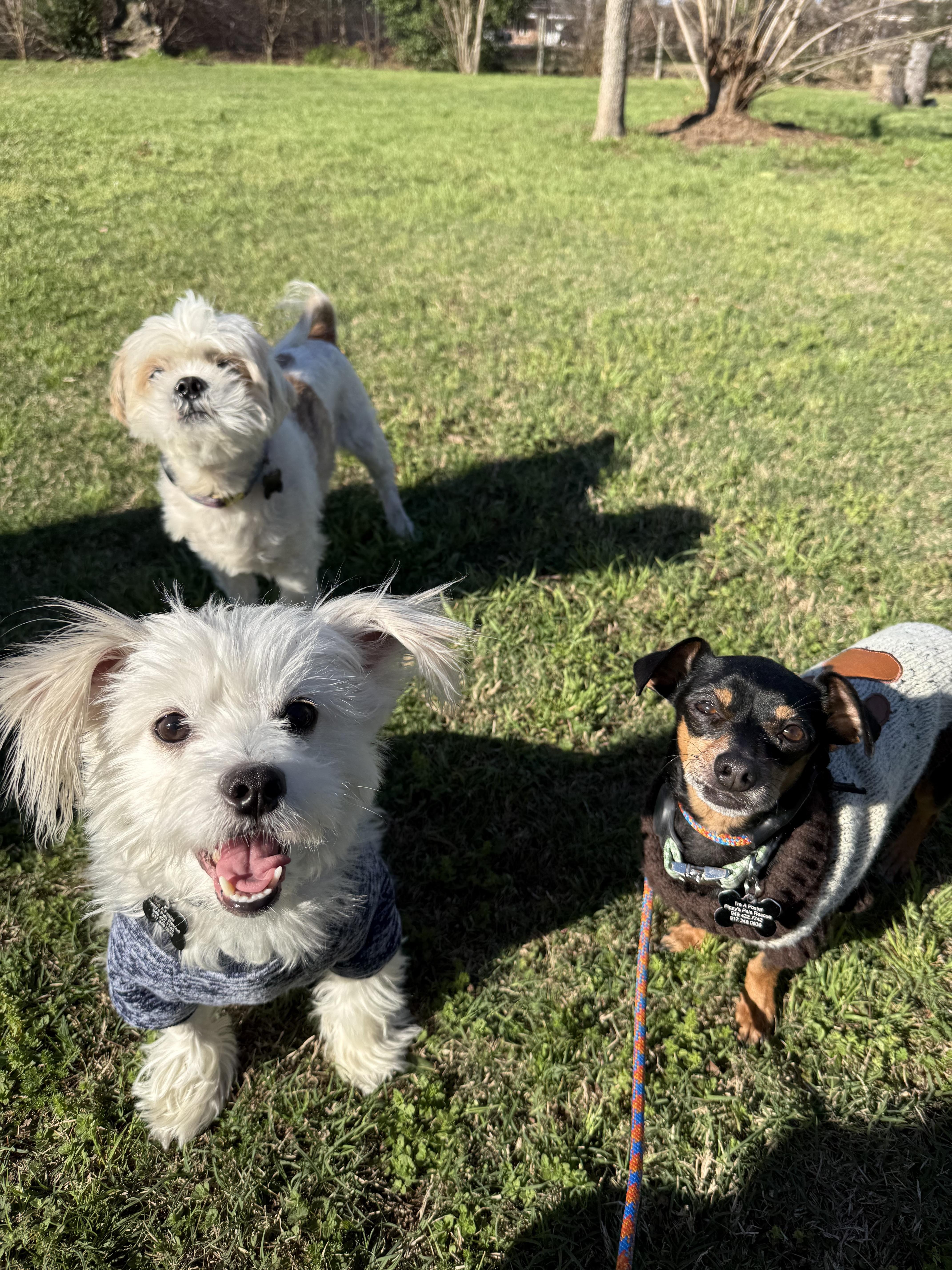 Ilya Rozanov thumbnail 3