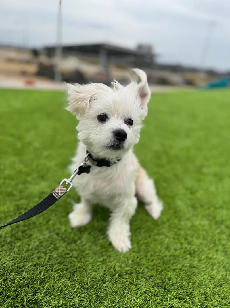 Ilya Rozanov thumbnail 5