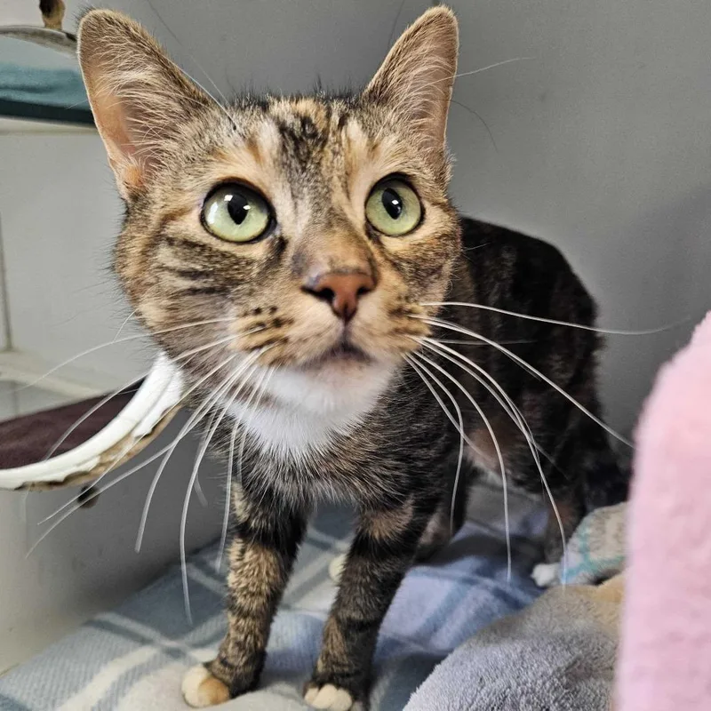 Ember Marie thumbnail 2