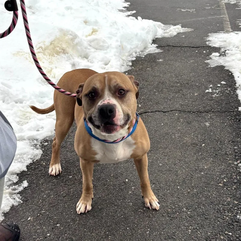 Randall Coming Soon thumbnail 6