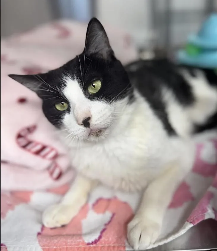 Mr. Bill thumbnail 2