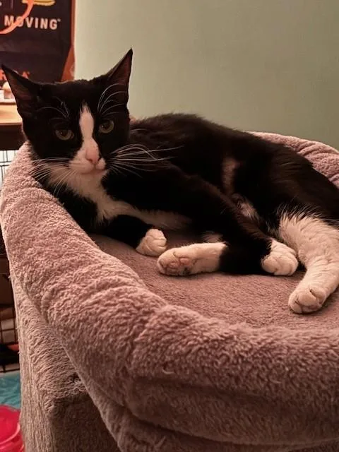 Paradise thumbnail 3