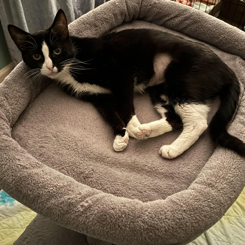 Paradise thumbnail 4