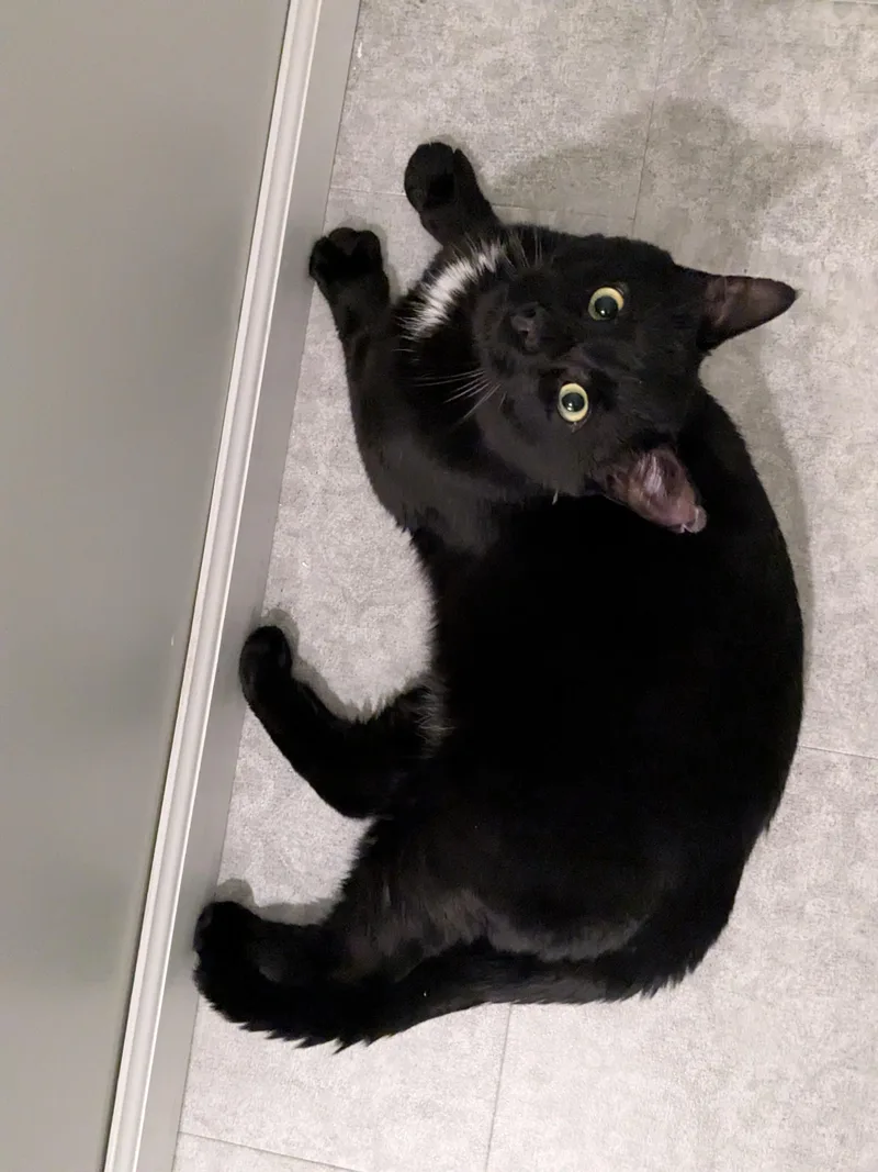 Smokey Jones thumbnail 2