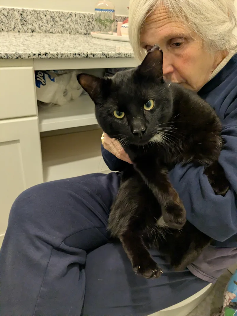 Smokey Jones thumbnail 3