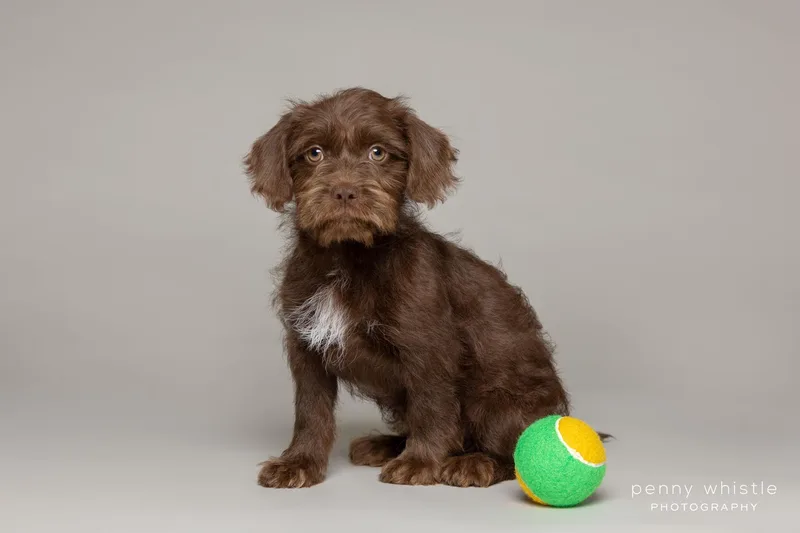 Benedict thumbnail 2