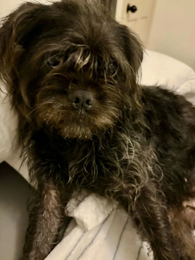 Rumi! Sweet And Cuddly! thumbnail 3