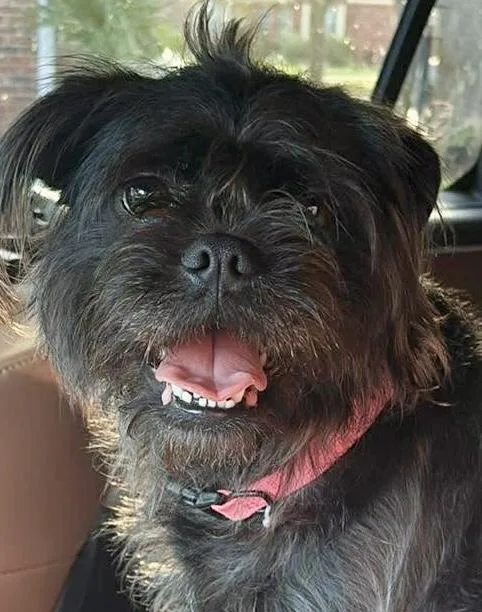 Rumi! Sweet And Cuddly!