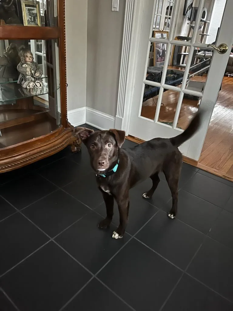 Josephine thumbnail 3